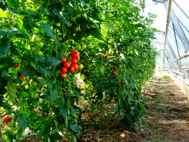 Impressionen vom Graether Gesundheitsresort